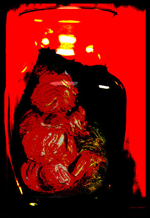 Vase-Red Version by Temi